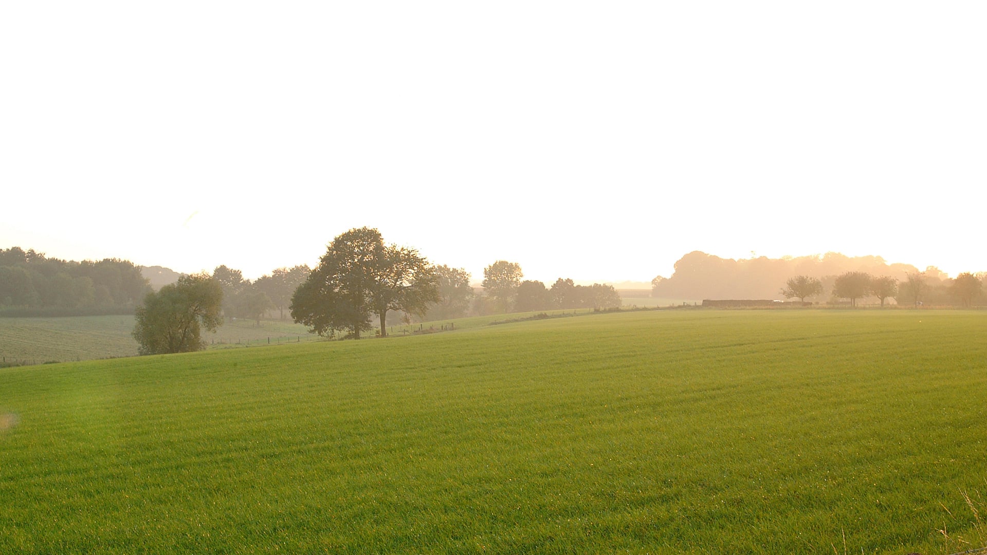 Omgeving - Domein Marsnil