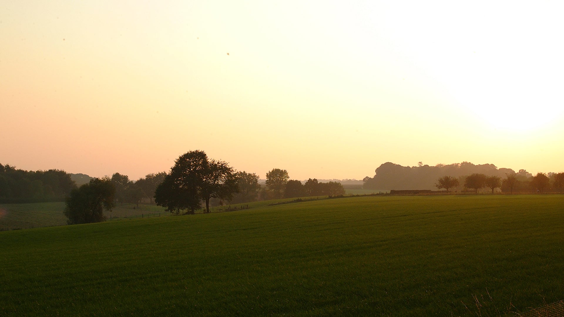 Arrangementen - Domein Marsnil